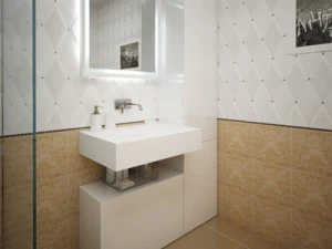 compact bathroom 3D Model