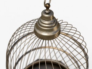 decorative birdcage 3D 모델