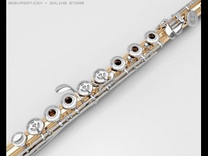 flute Modelo 3D