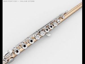 flute Modelo 3D