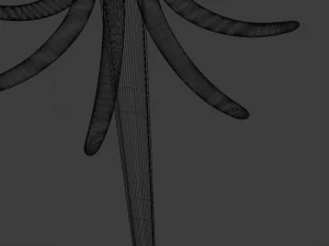 コートラック 3Dモデル