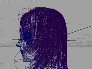 s project Modello 3D