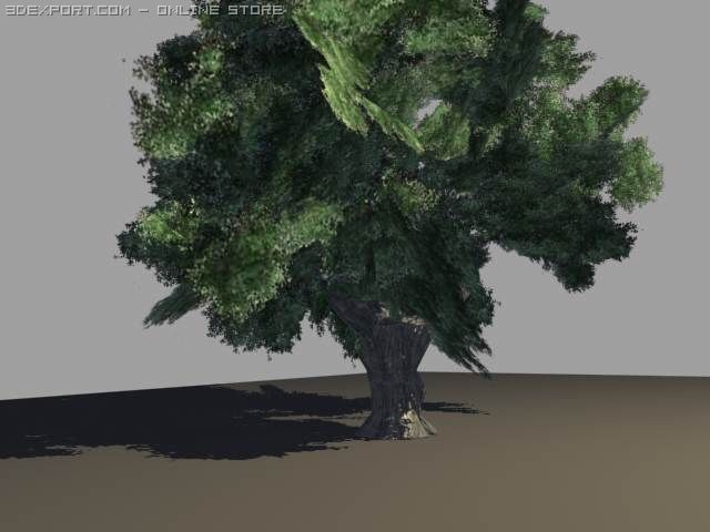 oak tree 3D 模型 .c4d .max .obj .3ds .fbx .stl .blend 