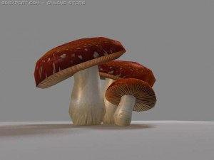 mushrooms amanite Modelo 3D