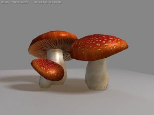 mushrooms amanite Modelo 3D
