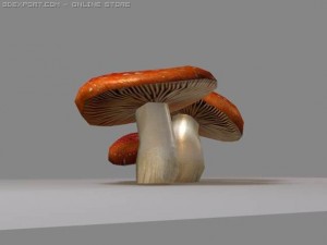 mushrooms amanite Modelo 3D