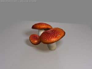 mushrooms amanite Modelo 3D