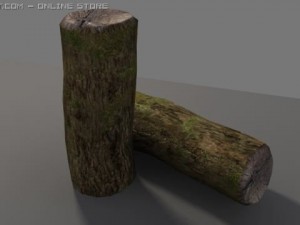 wood trunk 3D Model