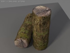 wood trunk 3D Model