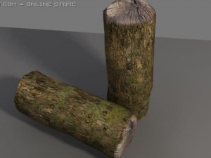 wood trunk 3D Model