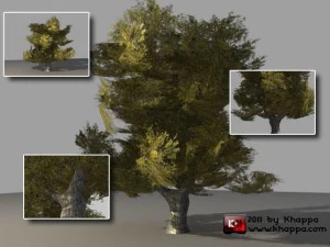 meşe ağacı 2 3D Model