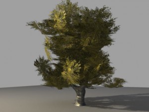 oak tree 2 3D Model