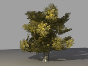 oak tree 2 3D Model
