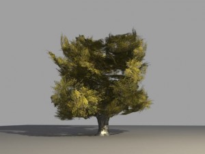 oak tree 2 3D Model