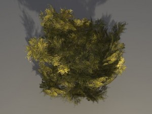 oak tree 2 3D Model