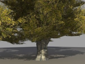 oak tree 2 3D Model