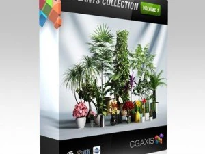 Kolekcja cgaxis tom 1 rośliny Model 3D