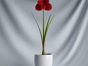 cgaxis collection vol 1 plants 3D Model