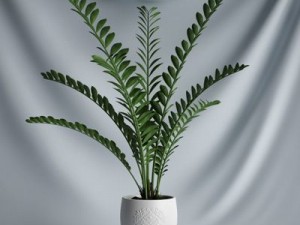 cgaxis collection vol 1 plants 3D Model