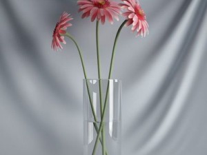 cgaxis collection vol 1 plants 3D Model