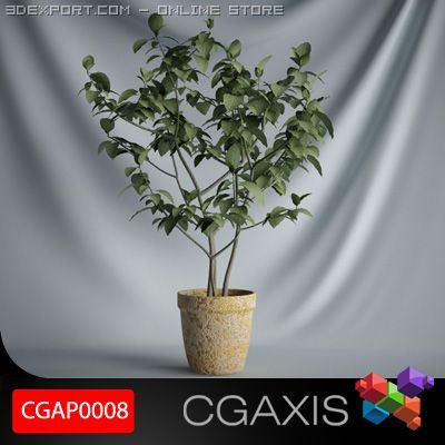 cgaxis plant 08 3D-Modell .c4d .max .obj .3ds .fbx .stl .blend 