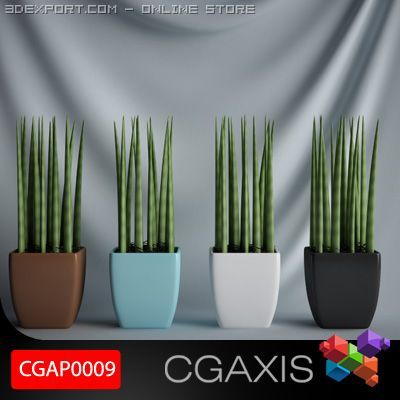 cgaxis plant 09 Modelo 3D .c4d .max .obj .3ds .fbx .stl .blend 