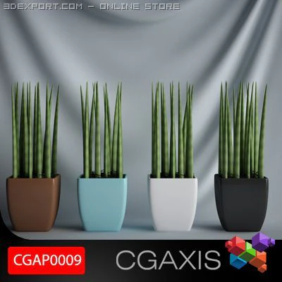cgaxis plant 09 3D Model .c4d .max .obj .3ds .fbx .stl .blend