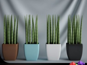 cgaxis plant 09 3Dモデル