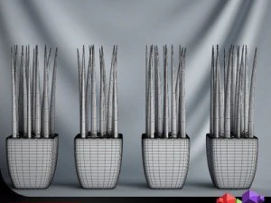 cgaxis plant 09 3D Model