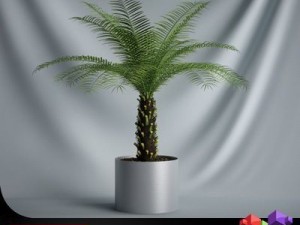 cgaxis plant 10 Model 3D