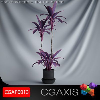 cgaxis plant 13 Model 3D .c4d .max .obj .3ds .fbx .stl .blend 