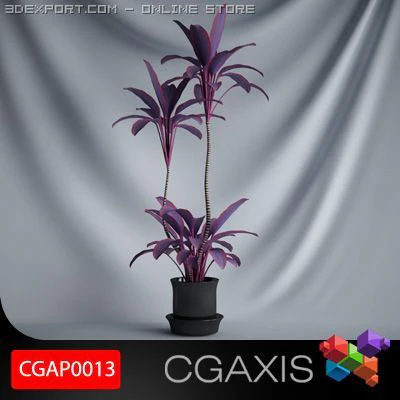 cgaxis plant 13 3D Model .c4d .max .obj .3ds .fbx .stl .blend 