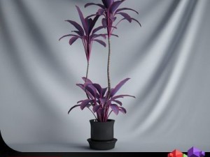 cgaxis plant 13 3Dモデル