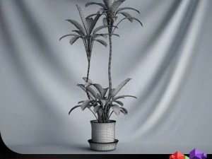 cgaxis plant 13 3D Model