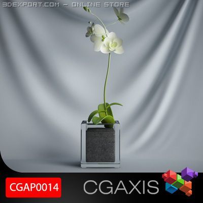 cgaxis plant 14 Modello 3D .c4d .max .obj .3ds .fbx .stl .blend 
