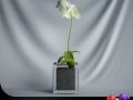 cgaxis plant 14 Modèle 3D