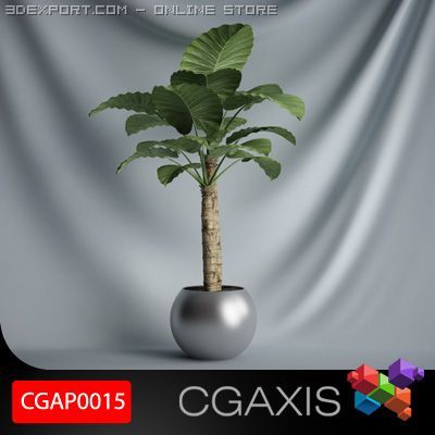 cgaxis plant 15 3D 모델 .c4d .max .obj .3ds .fbx .stl .blend 