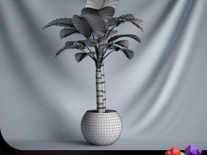 cgaxis plant 15 3D 모델