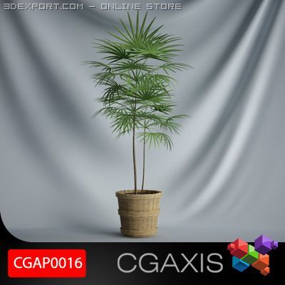 cgaxis plant 16 Model 3D .c4d .max .obj .3ds .fbx .stl .blend 