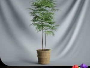 cgaxis plant 16 3D Model