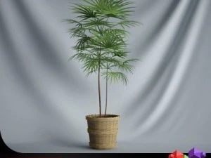 pianta cgaxis 16 Modello 3D