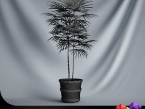 cgaxis plant 16 Model 3D