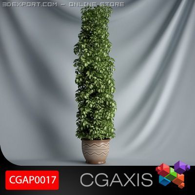 cgaxis plant 17 Model 3D .c4d .max .obj .3ds .fbx .stl .blend 