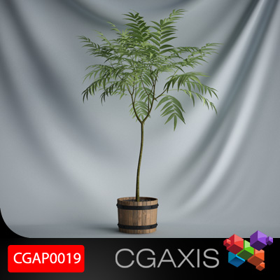 cgaxis plant 19 3D Модель .c4d .max .obj .3ds .fbx .stl .blend 