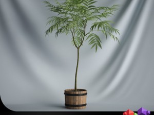 cgaxis plant 19 Model 3D