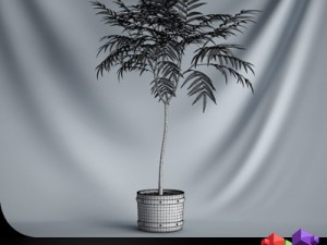 cgaxis plant 19 3D Модель