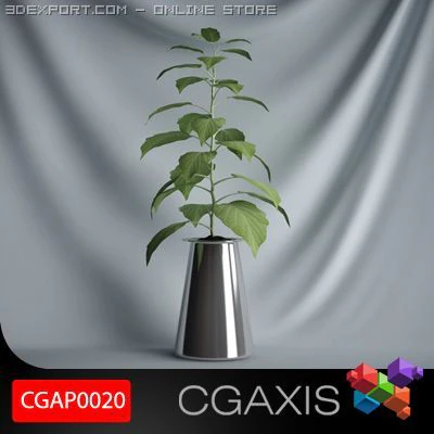 cgaxis plant 20 3D Model .c4d .max .obj .3ds .fbx .stl .blend 