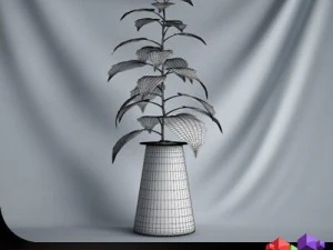 cgaxis plant 20 3D Model