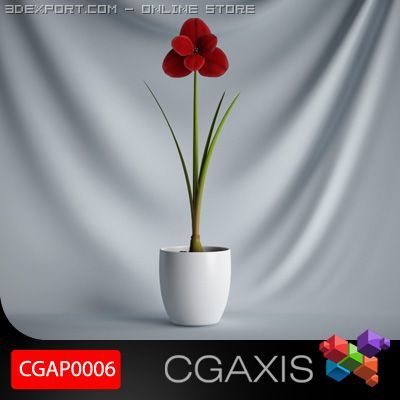 cgaxis plant 06 3Dモデル .c4d .max .obj .3ds .fbx .stl .blend 