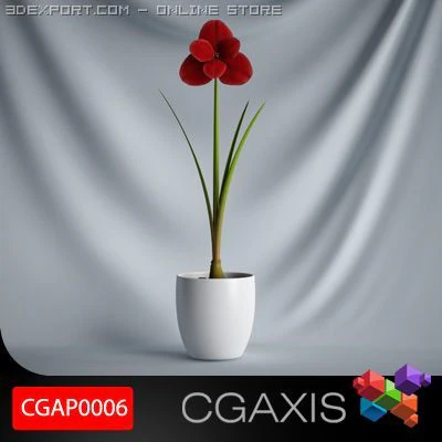 cgaxis plant 06 3D Model .c4d .max .obj .3ds .fbx .stl .blend